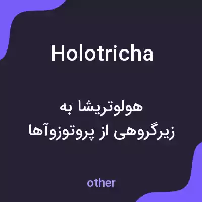 معنی holotricha به فارسی معنی holotricha به فارسی