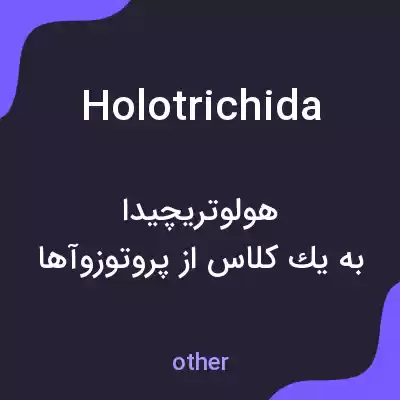 معنی holotrichida به فارسی معنی holotrichida به فارسی