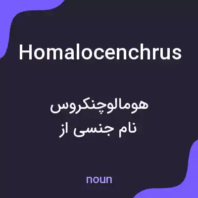 معنی homalocenchrus به فارسی معنی homalocenchrus به فارسی