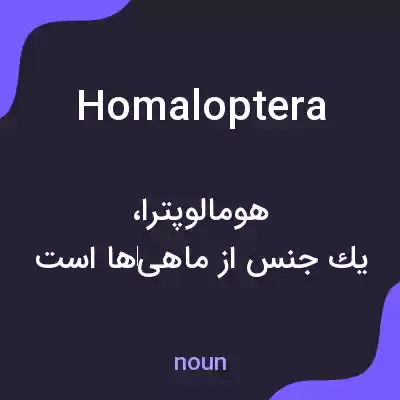 معنی homaloptera به فارسی معنی homaloptera به فارسی