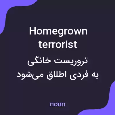 معنی homegrown terrorist به فارسی معنی homegrown terrorist به فارسی