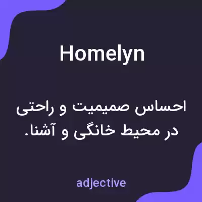 معنی homelyn به فارسی معنی homelyn به فارسی