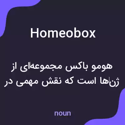 معنی homeobox به فارسی معنی homeobox به فارسی