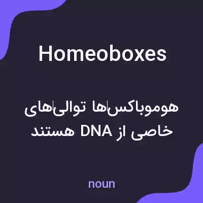 معنی homeoboxes به فارسی معنی homeoboxes به فارسی