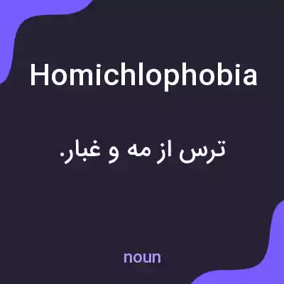 معنی homichlophobia به فارسی معنی homichlophobia به فارسی