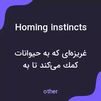 معنی homing instincts به فارسی معنی homing instincts به فارسی