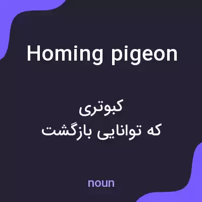 معنی homing pigeon به فارسی معنی homing pigeon به فارسی