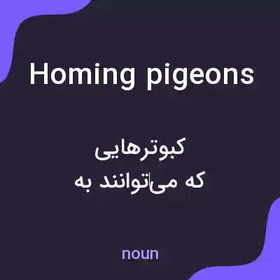 معنی homing pigeons به فارسی معنی homing pigeons به فارسی
