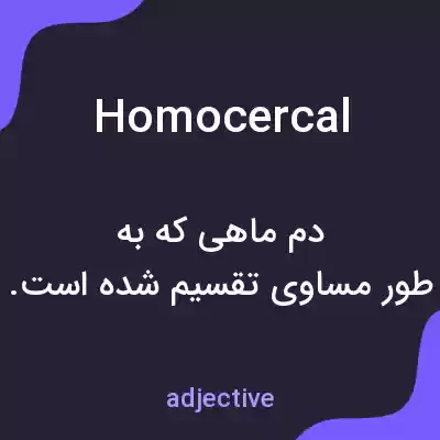 معنی homocercal به فارسی معنی homocercal به فارسی