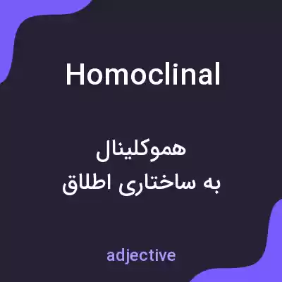 معنی homoclinal به فارسی معنی homoclinal به فارسی