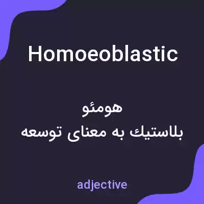 معنی homoeoblastic به فارسی