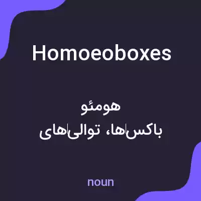 معنی homoeoboxes به فارسی معنی homoeoboxes به فارسی