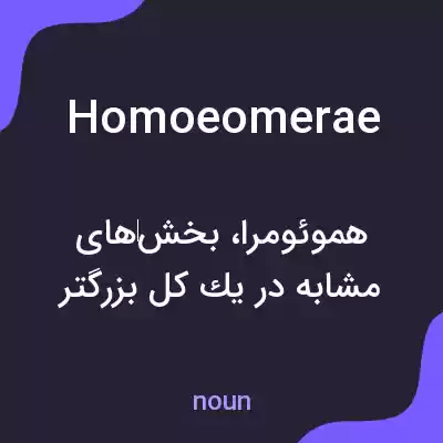 معنی homoeomerae به فارسی