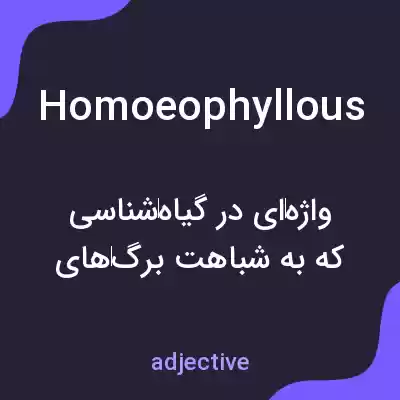 معنی homoeophyllous به فارسی معنی homoeophyllous به فارسی