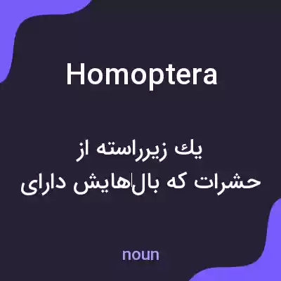 معنی homoptera به فارسی معنی homoptera به فارسی