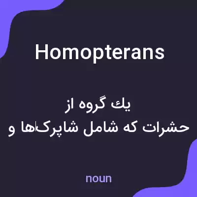 معنی homopterans به فارسی معنی homopterans به فارسی