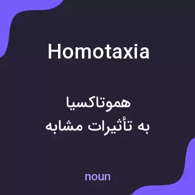 معنی homotaxia به فارسی معنی homotaxia به فارسی