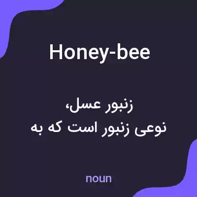 معنی honey-bee به فارسی معنی honey-bee به فارسی