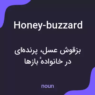 معنی honey-buzzard به فارسی معنی honey-buzzard به فارسی