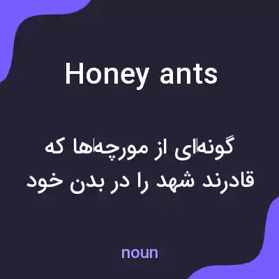 معنی honey ants به فارسی معنی honey ants به فارسی