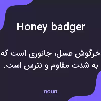 معنی honey badger به فارسی معنی honey badger به فارسی