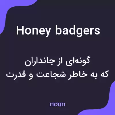 معنی honey badgers به فارسی معنی honey badgers به فارسی