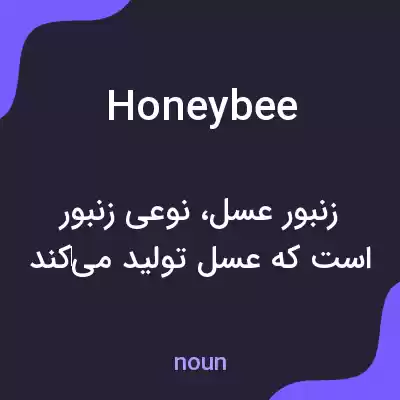 معنی honeybee به فارسی معنی honeybee به فارسی