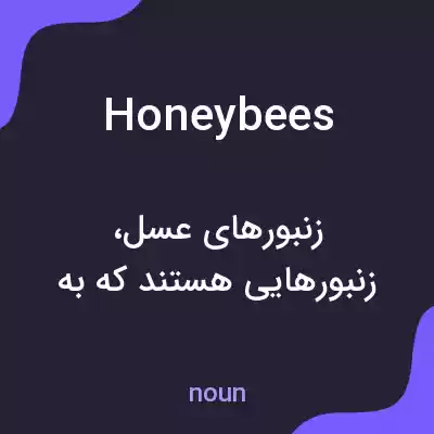 معنی honeybees به فارسی معنی honeybees به فارسی