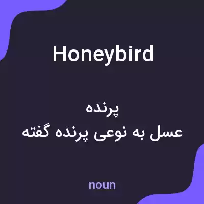 معنی honeybird به فارسی معنی honeybird به فارسی