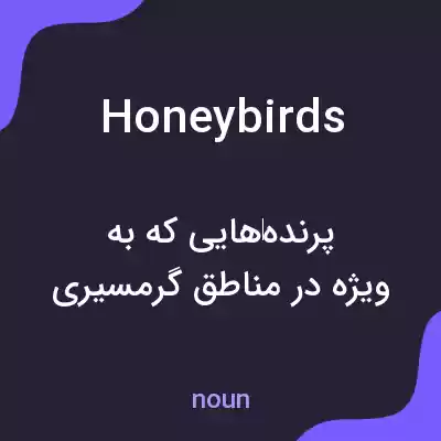 معنی honeybirds به فارسی معنی honeybirds به فارسی
