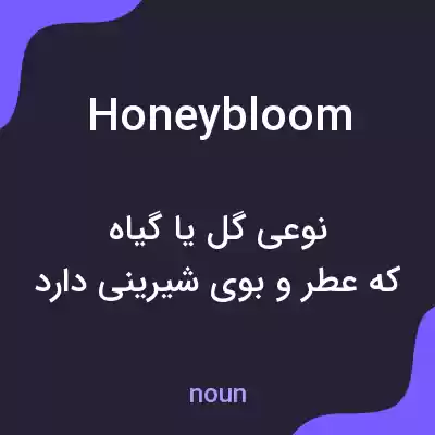 معنی honeybloom به فارسی معنی honeybloom به فارسی