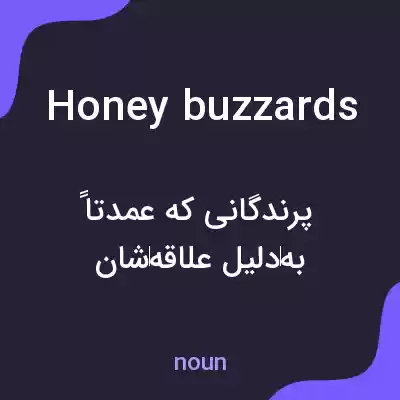 معنی honey buzzards به فارسی معنی honey buzzards به فارسی