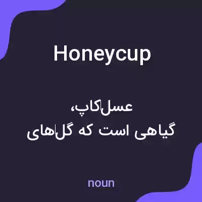 معنی honeycup به فارسی معنی honeycup به فارسی