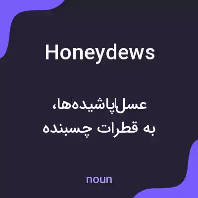 معنی honeydews به فارسی معنی honeydews به فارسی