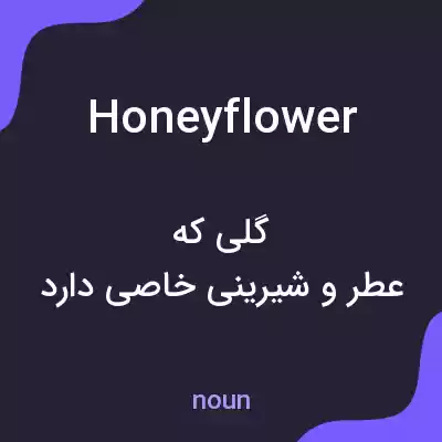 معنی honeyflower به فارسی معنی honeyflower به فارسی