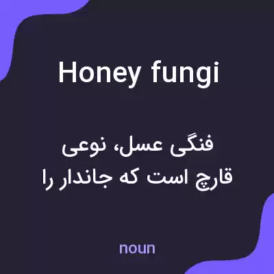 معنی honey fungi به فارسی معنی honey fungi به فارسی