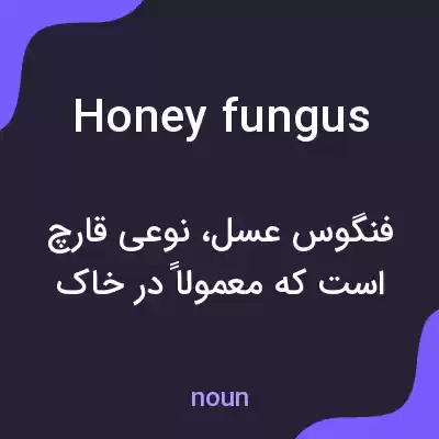 معنی honey fungus به فارسی معنی honey fungus به فارسی