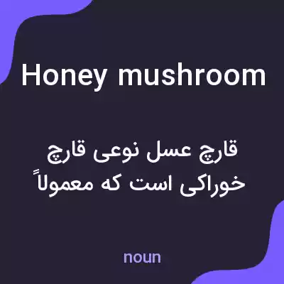 معنی honey mushroom به فارسی معنی honey mushroom به فارسی