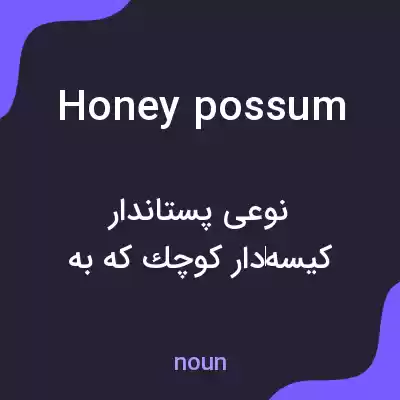 معنی honey possum به فارسی معنی honey possum به فارسی