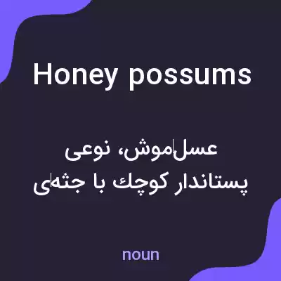 معنی honey possums به فارسی معنی honey possums به فارسی