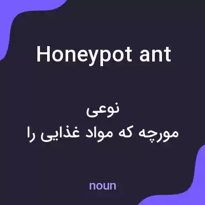 معنی honeypot ant به فارسی معنی honeypot ant به فارسی