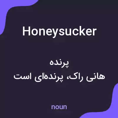 معنی honeysucker به فارسی معنی honeysucker به فارسی
