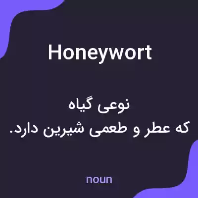 معنی honeywort به فارسی معنی honeywort به فارسی