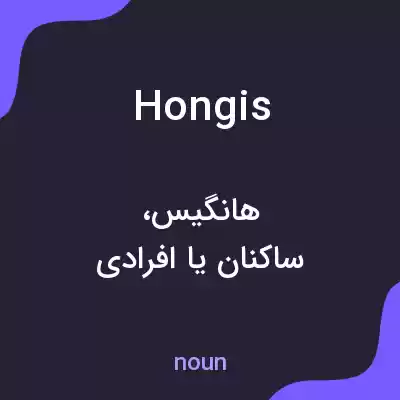 معنی hongis به فارسی معنی hongis به فارسی