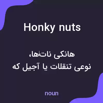 معنی honky nuts به فارسی معنی honky nuts به فارسی