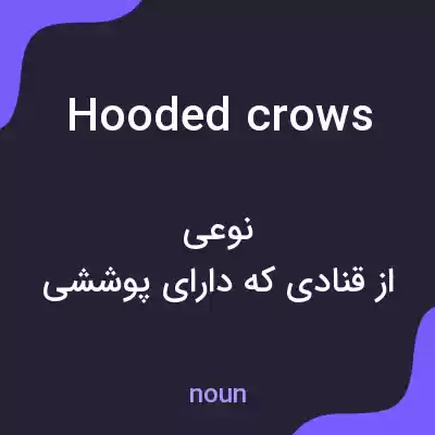 معنی hooded crows به فارسی معنی hooded crows به فارسی
