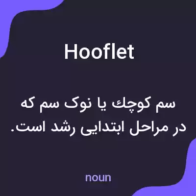 معنی hooflet به فارسی معنی hooflet به فارسی