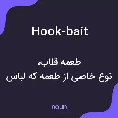 معنی hook-bait به فارسی معنی hook-bait به فارسی