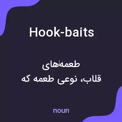 معنی hook-baits به فارسی