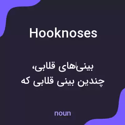 معنی hooknoses به فارسی معنی hooknoses به فارسی